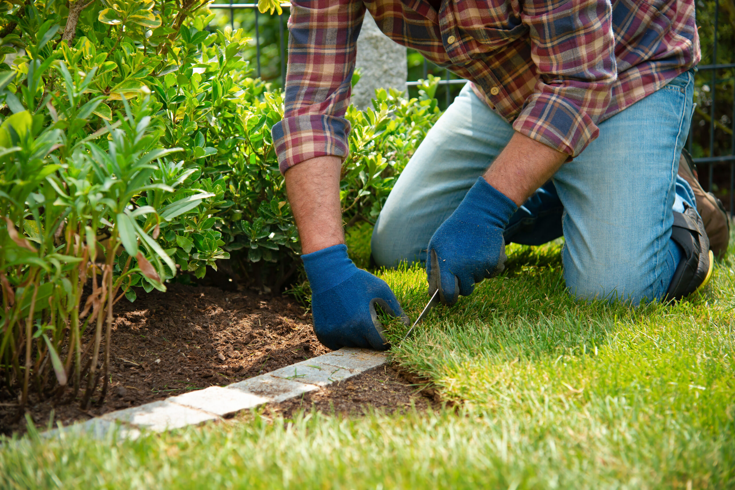 How to Grow Visitors for a Landscaping Services Blog