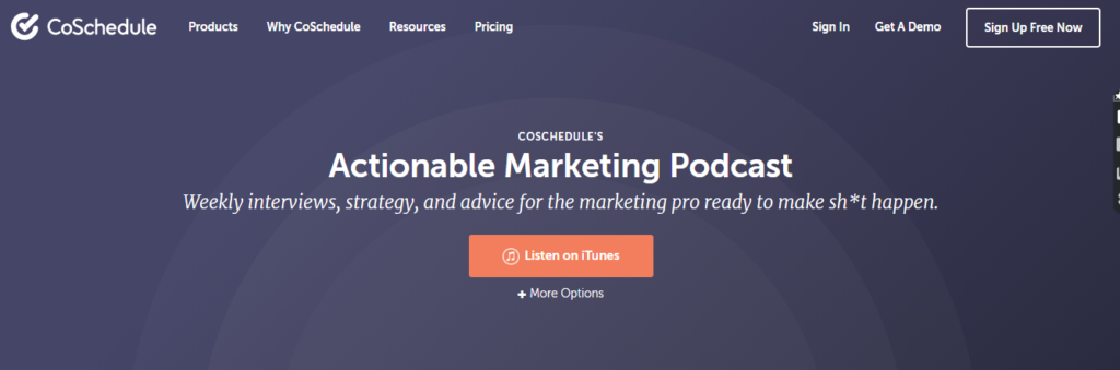 Actionable Marketing Podcast